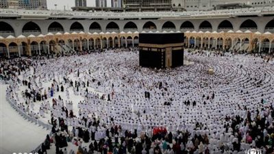 ٥٠٠ موظف على مدار الساعة لتنظيم دخول وخروج وتفويج قاصدي بيت الله الحرام