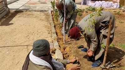 محافظ أسيوط: استمرار تنفيذ أعمال تشجير وزراعة شتلات بالمراكز والقرى