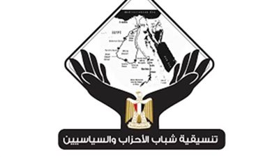 تنسيقية شباب الأحزاب: نرحب بمقترح استمرار الإشراف القضائي على الانتخابات وجاهزون لبدء الحوار الوطني