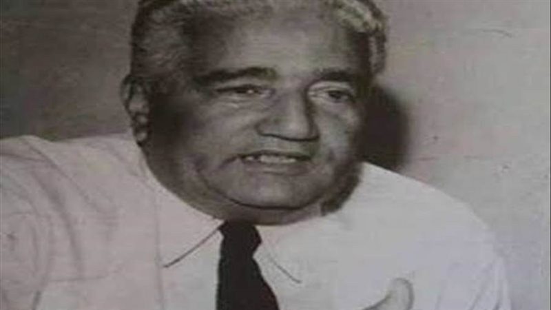 محمد حسن حلمي