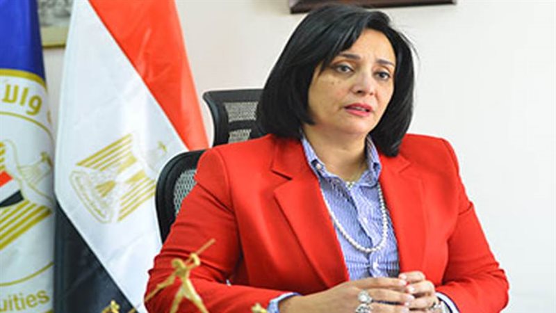 غادة شلبي نائب وزير