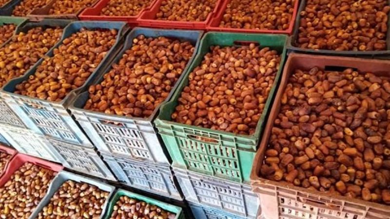 البلح _ الارشيف