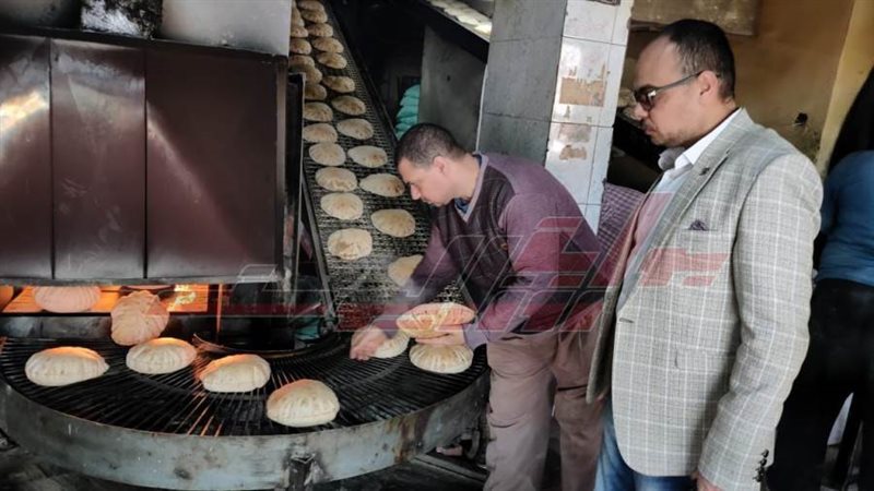 الحملة التموينية