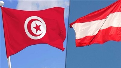 تونس والنمسا تبحثان تعزيز التعاون في مجالي الطاقة المتجددة والثقافة