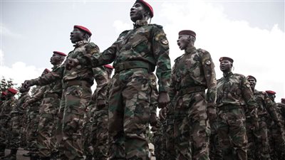 شرطة أفريقيا الوسطى: لن يتم إعادة رفات 9 صينيين لقوا حتفهم في هجوم مسلح إلى بكين