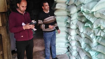 ضبط 149 ألف لتر سولار وتحرير 31 محضرًا لمخابز بلدية بالبحيرة 