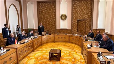 جلسة مباحثات مصرية سورية برئاسة وزيري الخارجية