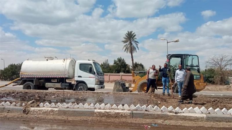 تشجير شوارع بنى سويف