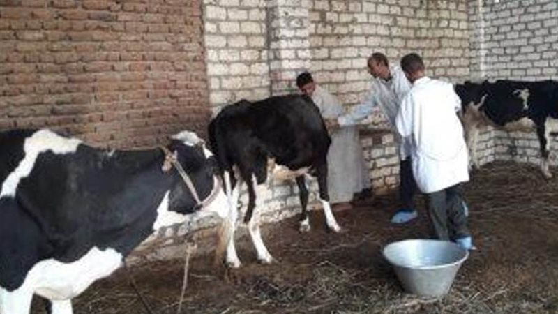 بيطري الغربية