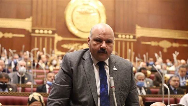 الدكتور زين الاطناوى