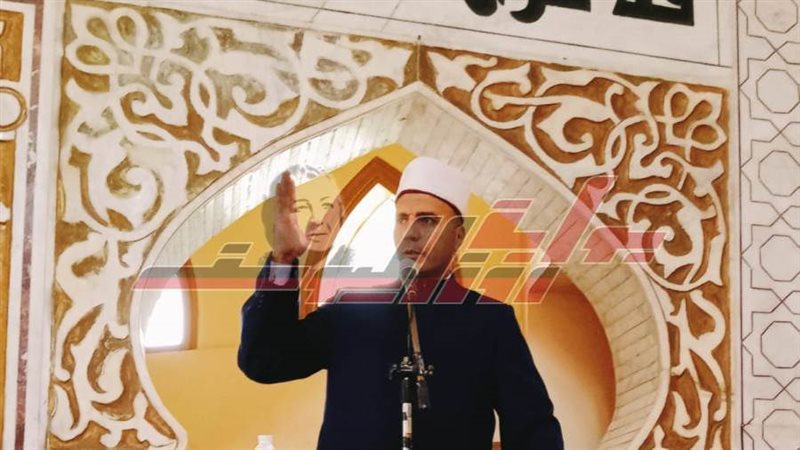 د صفوت عمارة