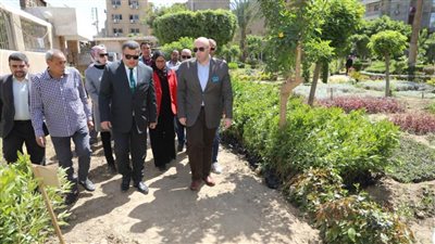 محافظ بني سويف يتفقد  المبادرة الرئاسية للتشجير 