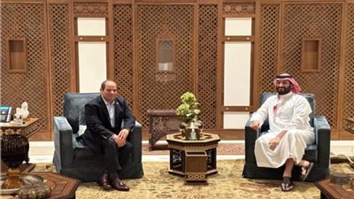 دبلوماسيون: 