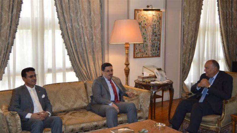 لقاء وزير الخارجية