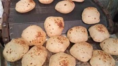 حملات رقابية للإدارات الفرعية التموينية بالإسكندرية تسفر عن تحرير٣٥٠ محضراً ضد التجار المخالفين