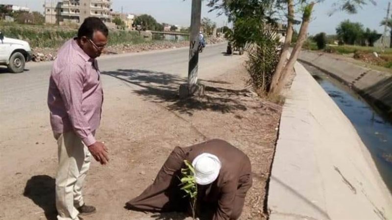 زراعة أشجار مثمرة