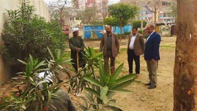 انتظام العمل بإدارات الواسطى وتنفيذ خطة ترشيد الكهرباء وأعمال التشجير بالمركز