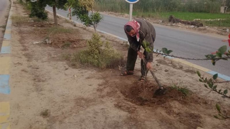 بوابة روز اليوسف