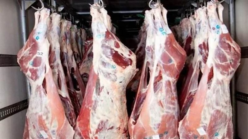 لحوم - ارشيفية