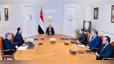 عاجل.. الرئيس السيسي يستعرض إحصائيات حركة السفن العابرة لقناة السويس