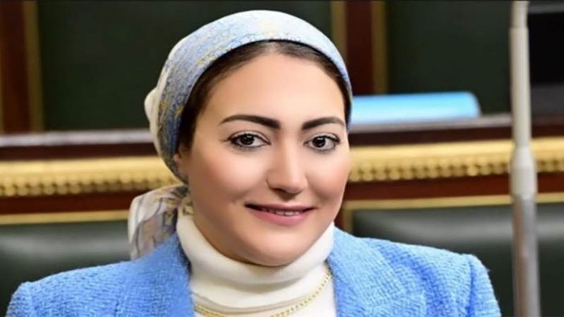 النائبة أسماء الجمال