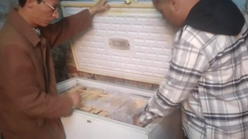 ضبط أسماك مملحة بأبوقرقاص