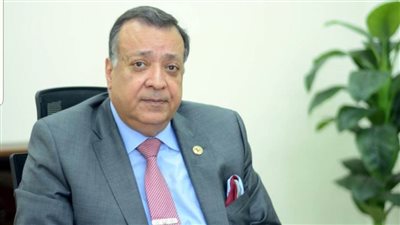 الدكتور محمد سعد الدين: تشكيل المجلس الأعلى للاستثمار أهم خطوات تشجيع الاستثمار