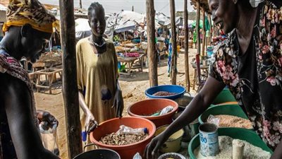 برنامج الأغذية العالمي يعلق جميع عملياته بشكل مؤقت في السودان