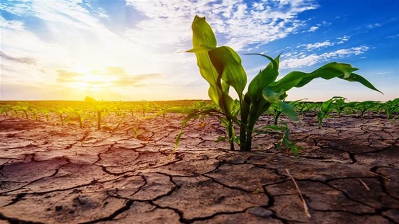 موجات الجفاف