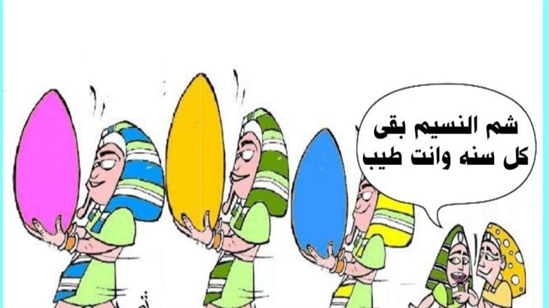 ريشة ثروت مرتضى