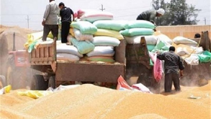 تجديد حبس 13 متهمًا