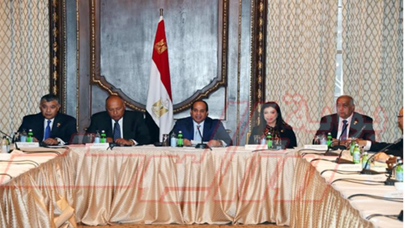 تفاصيل لقاء السيسي