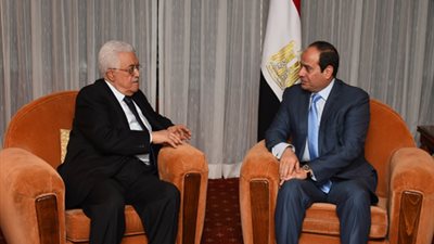 الشوبكي : لقاء الرئيس عباس والسيسي في نيويورك يعكس متانة العلاقات الثنائية بين مصر وفلسطين