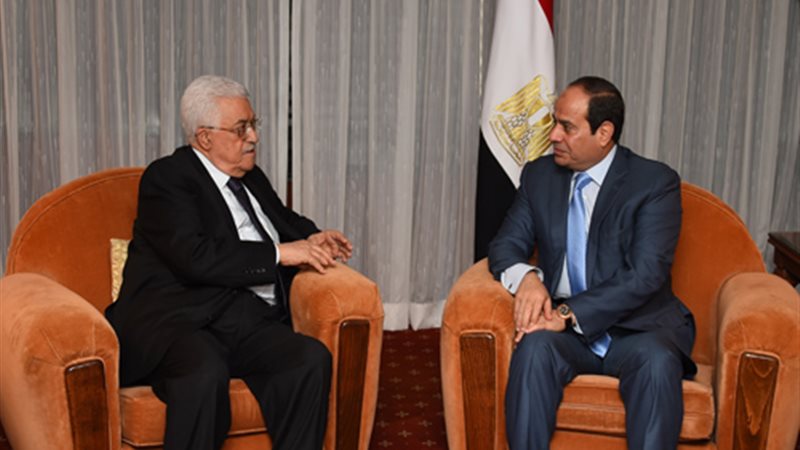 الشوبكي : لقاء الرئيس