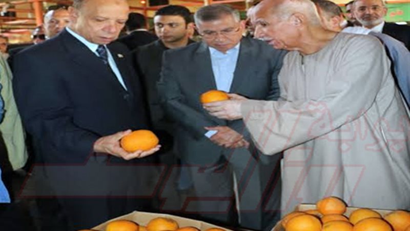 محافظ القاهرة ووزير