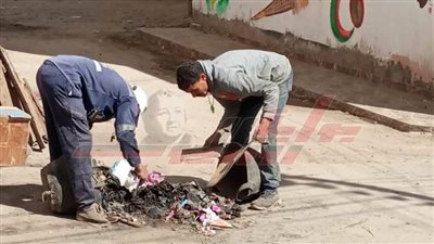 حملات نظافة مكثفة وتفريغ الحاويات من القمامة بكفر الشيخ 