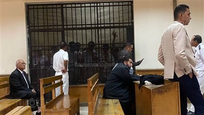 لوفاة عضو بالهيئة .. إعادة مرافعة دفاع المتهمين بتعذيب ولاء زايد صيدلي حلوان 