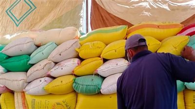 شعبة المطاحن: المطاحن تعمل بكامل طاقتها لتوريد الدقيق للمخابز في عيد الفطر