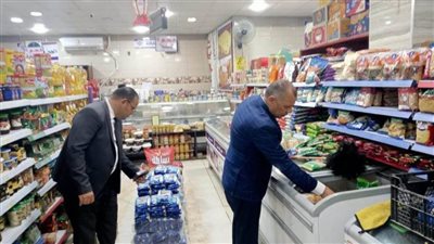 ضبط كميات من الأسماك المملحة مجهولة المصدر وتحرير مخالفات تموينية بالمنيا 