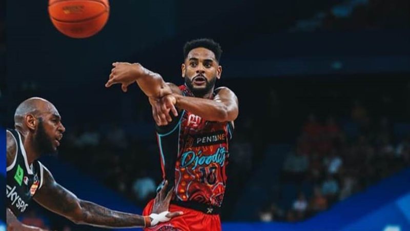 النيوزيلندي كوري