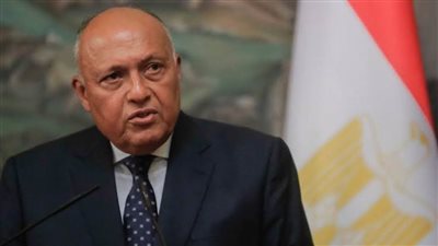 وزير الخارجية يؤكد ضرورة إعطاء الأولوية للحفاظ على مؤسسات الدولة في السودان