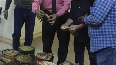 بيطري المنيا يضبط 149 كجم أسماك مملحة غير صالحة للاستهلاك بمركز سمالوط