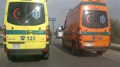 بالأسماء.. مصرع سيدة وإصابة 9 آخرين في حادث انقلاب ميكروباص بصحراوي المنيا