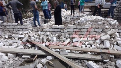 إزالة التعديات على الأراضي الزراعية بـ3 مراكز بكفر الشيخ 