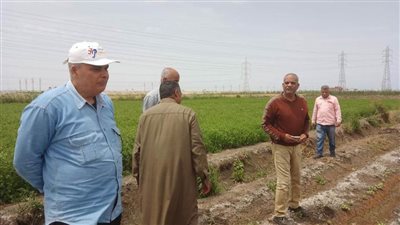 لجنة من قيادات الزراعة بالإسماعيلية تتابع زراعات القطن بالقنطرة شرق 