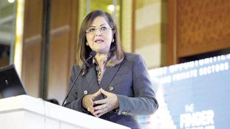 وزيرة التخطيط