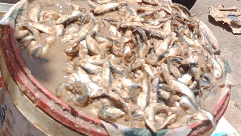 ضبط مواد غذائية غير