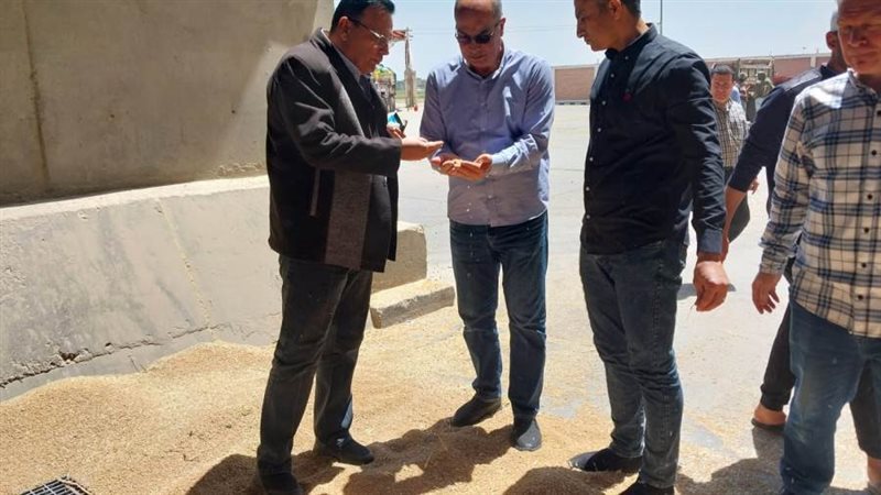 متابعة توريد القمح