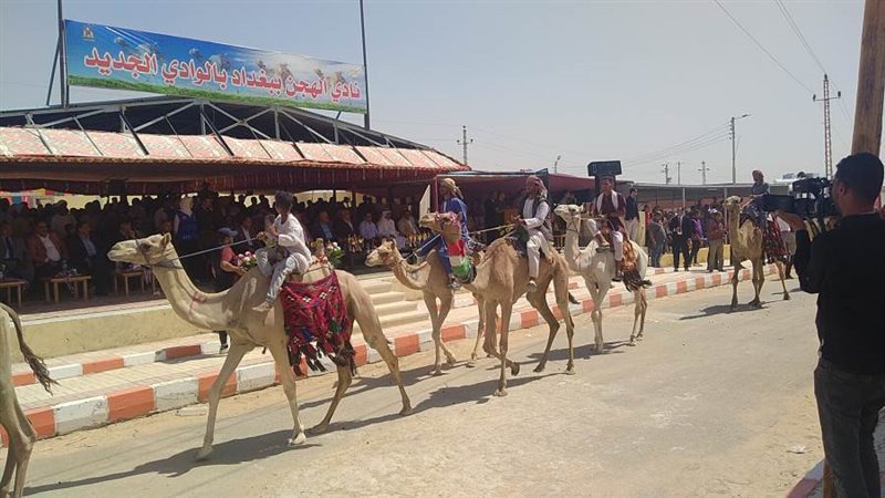 الوادي الجديد تشارك