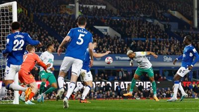 نيوكاسل يفوز على إيفرتون 1/4 في الدوري الإنجليزي
